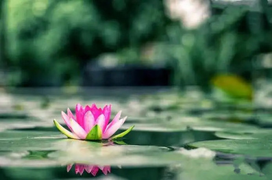 好的人生是坚持行善而来