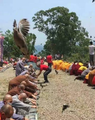 观音菩萨脚踏五彩莲花现全身