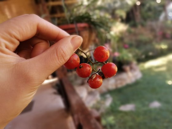 我趁年轻,学佛了