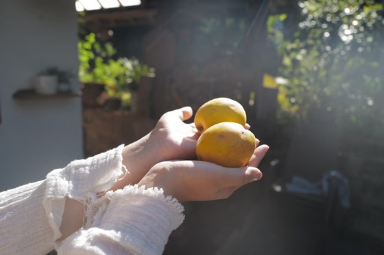 我趁年轻,学佛了