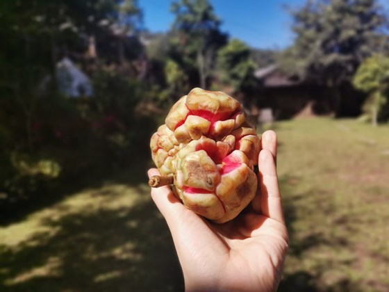 我趁年轻,学佛了