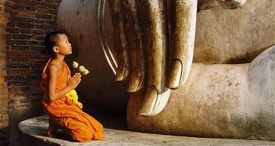 一牛断三人性命的宿世因缘